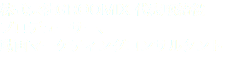 株式会社GROOMIX 代表取締役 プロデューサー、 動画マーケティングコンサルタント